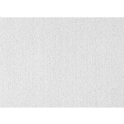 USG 56099 Clean Room™ ClimaPlus™ Panneaux de plafond, Fibre minérale, Blanc, 24" x 24"