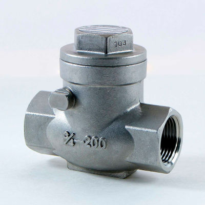 1 In. 316 Stainless Steel Swing Check Valve - 200 PSI