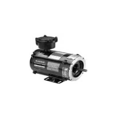 Marathon Motors Inverter Duty Motor, Y600, 56H17E5301, 1/4HP, 230/460V, 1800RPM, 3PH, 56C, EPNV