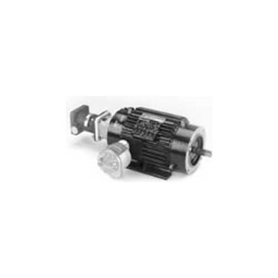 Marathon Motors Inverter Duty Motor, Y983, 254THEN8059, 10HP, 230/460V, 1800RPM, 3PH, 254TC, EPNV