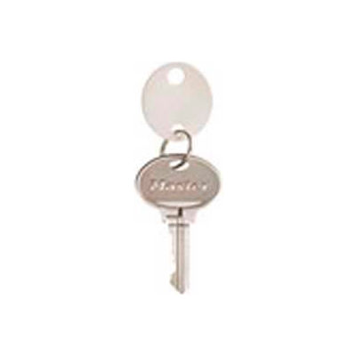 Tags Master Lock® no. 7116 D clé en plastique - 20 / sachet - S’adapte à la plupart armoire clé & Rack, forme ovale - Qté par paquet : 10