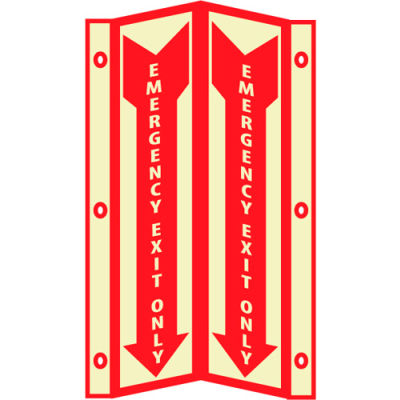 3D Glow Sign Acrylic - Emergency Exit Only