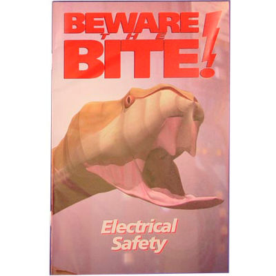 Safety Handbook - Electrical Safety Beware The Bite