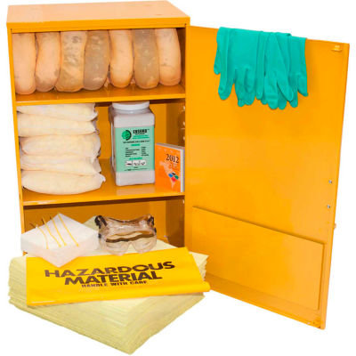 Wall Mount Spill Containment Cabinet, X-Large, 24"W x 12"D x 35"H, Agressif