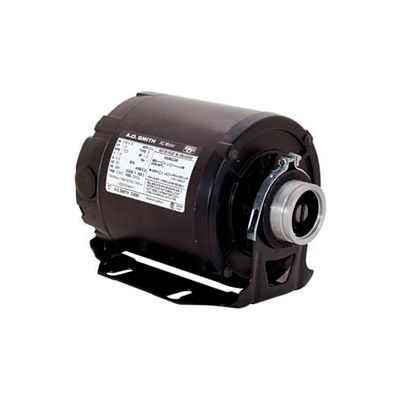Century CB2034AD, Carbonator Pump Motor 115/230 Volts 1725 RPM 1/3 HP