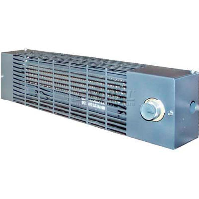 TPI pompe maison Convection radiateur utilitaire RPH15A 500W 120V