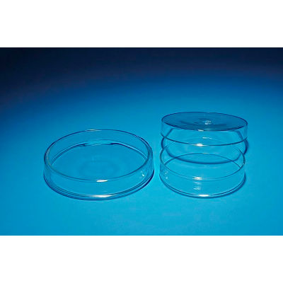 United Scientific™ Petri Dishes, Verre, 3-15/16 » Dia. x 13/16"H, Paquet de 10