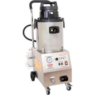 EnviroNize® Steam Vapore Dry Vape Deep Cleaning w/Injection ESV6000-ASP