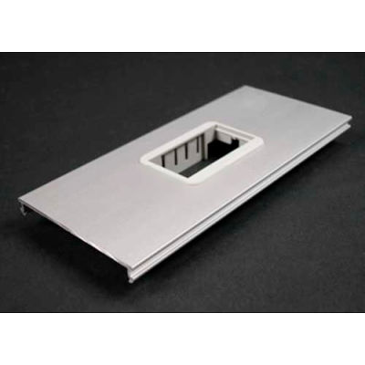 Wiremold Al33562a 2a Mini Adapter Bezel Cover Plate, Includes Bezel, 6"L