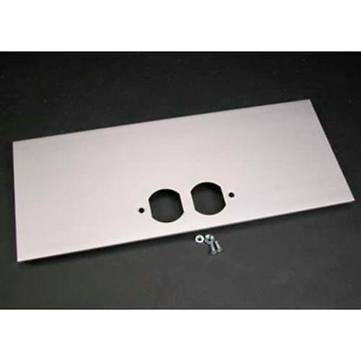 Wiremold Al5246-D Duplex Cover Plate, 12"L