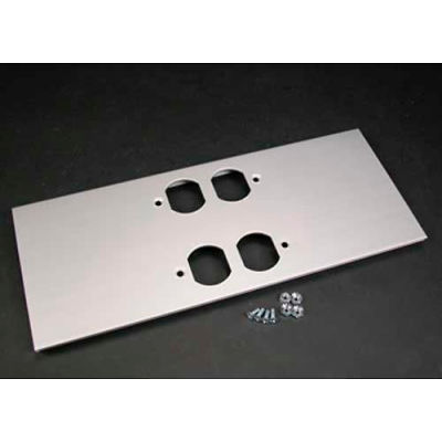 Wiremold Al5246-Dd Double Duplex Cover Plate, 12"L