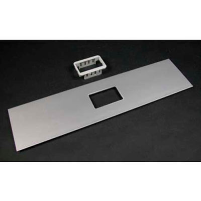 Wiremold ALA-2A 2A Mini Adapter Bezel Cover Plate, Includes Bezel, 12"L