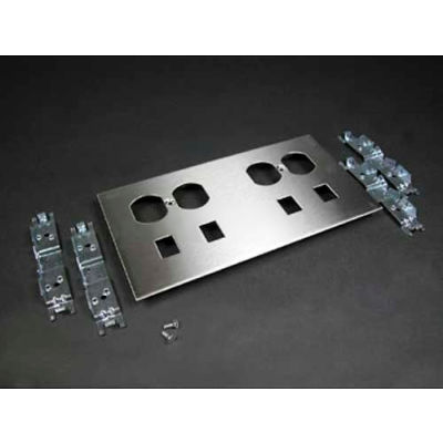 Wiremold S4046DRJ-2 Double In-Line Duplex Receptacle & Modular Jack Cover, 9"L
