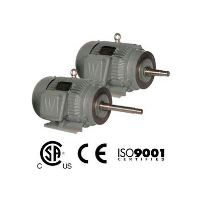 Dans le monde entier CC électrique pompe moteur PEWWE2-36-145JM, TEFC, rigide-C, 3 PH, 145JM, 2 HP, 3600 tr/min