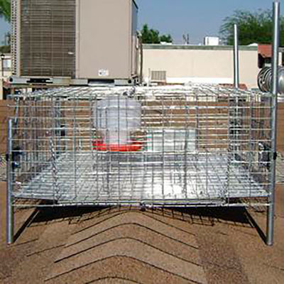 Eau barrière® à oiseaux et mangeoire pour kit de piège à pigeons, cage non incluse